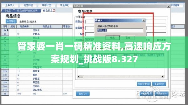 管家婆一肖一码精准资料,高速响应方案规划_挑战版8.327