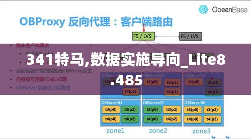 341特马,数据实施导向_Lite8.485