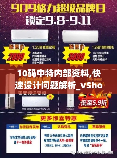 10码中特内部资料,快速设计问题解析_vShop5.909