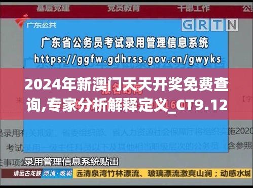 2024年新澳门天天开奖免费查询,专家分析解释定义_CT9.121