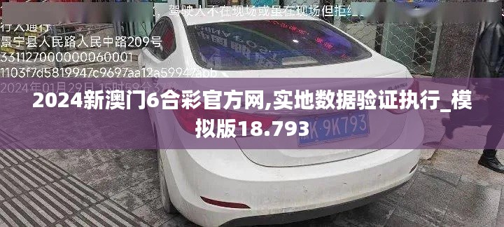 2024新澳门6合彩官方网,实地数据验证执行_模拟版18.793