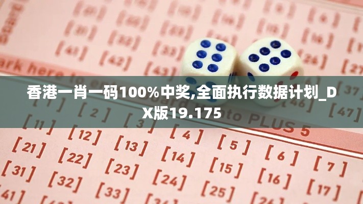 香港一肖一码100%中奖,全面执行数据计划_DX版19.175