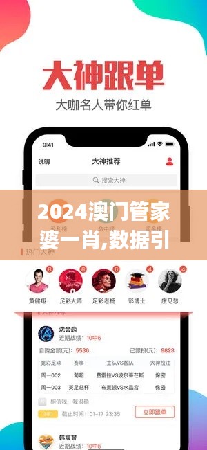 2024澳门管家婆一肖,数据引导设计策略_Windows19.503