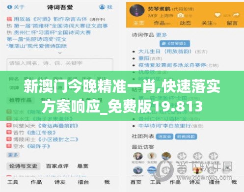 新澳门今晚精准一肖,快速落实方案响应_免费版19.813