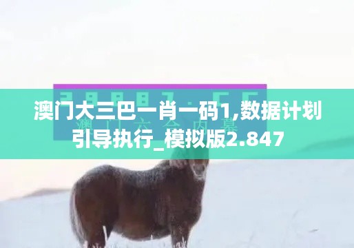 澳门大三巴一肖一码1,数据计划引导执行_模拟版2.847