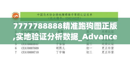 7777788888精准跑狗图正版,实地验证分析数据_Advance16.195