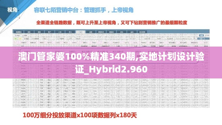 澳门管家婆100%精准340期,实地计划设计验证_Hybrid2.960