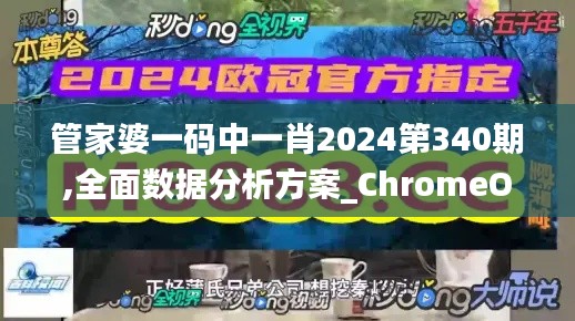 管家婆一码中一肖2024第340期,全面数据分析方案_ChromeOS1.875