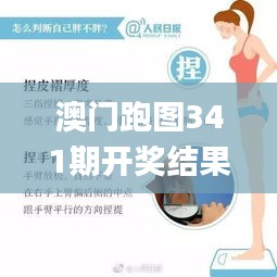 澳门跑图341期开奖结果,动态评估说明_DX版4.864