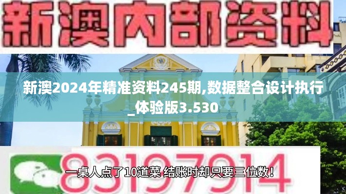 新澳2024年精准资料245期,数据整合设计执行_体验版3.530