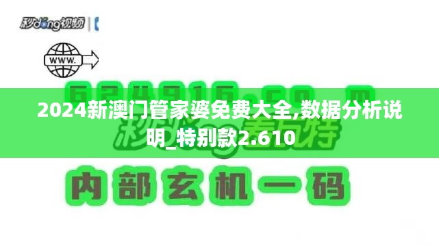 2024新澳门管家婆免费大全,数据分析说明_特别款2.610