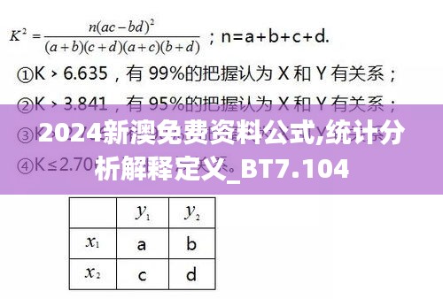 2024新澳免费资料公式,统计分析解释定义_BT7.104