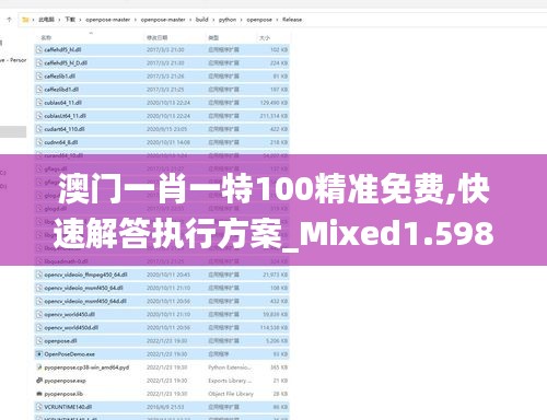 澳门一肖一特100精准免费,快速解答执行方案_Mixed1.598