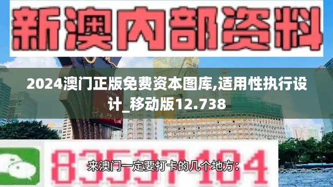 2024澳门正版免费资本图库,适用性执行设计_移动版12.738