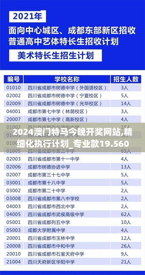 2024澳门特马今晚开奖网站,精细化执行计划_专业款19.560