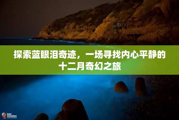 蓝眼泪奇迹探寻之旅，十二月内心的奇幻平静之旅