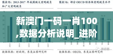 新澳门一码一肖100,数据分析说明_进阶版15.212