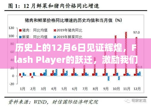 历史上的跃迁日，Flash Player的辉煌与自信之旅的开启