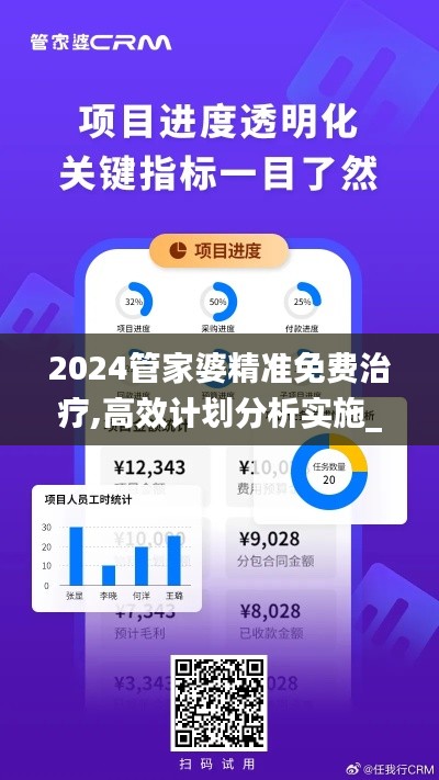 2024管家婆精准免费治疗,高效计划分析实施_专业款15.365