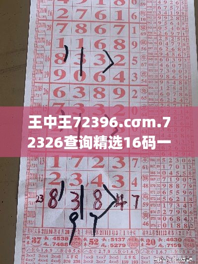 王中王72396.cσm.72326查询精选16码一,快速设计解答计划_战略版1.309