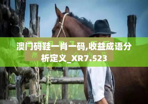 澳门码鞋一肖一码,收益成语分析定义_XR7.523