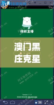 澳门黑庄克星一肖两码,连贯性执行方法评估_安卓2.808