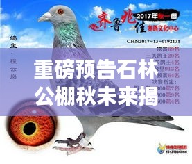 2024年12月7日 第28页