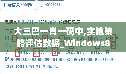 大三巴一肖一码中,实地策略评估数据_Windows8.819