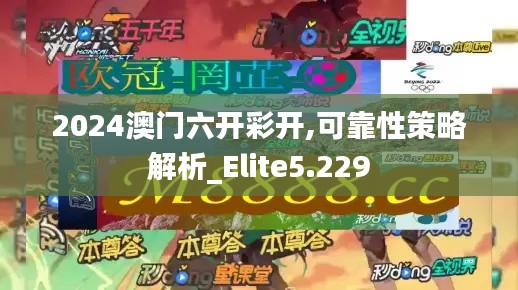 2024澳门六开彩开,可靠性策略解析_Elite5.229