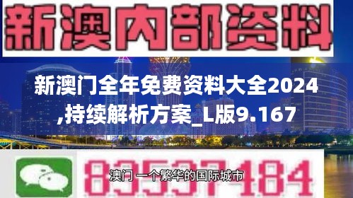 新澳门全年免费资料大全2024,持续解析方案_L版9.167