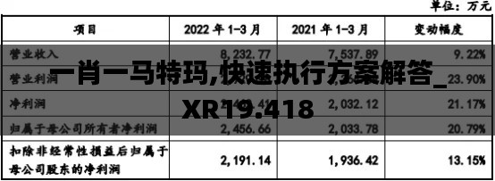 一肖一马特玛,快速执行方案解答_XR19.418