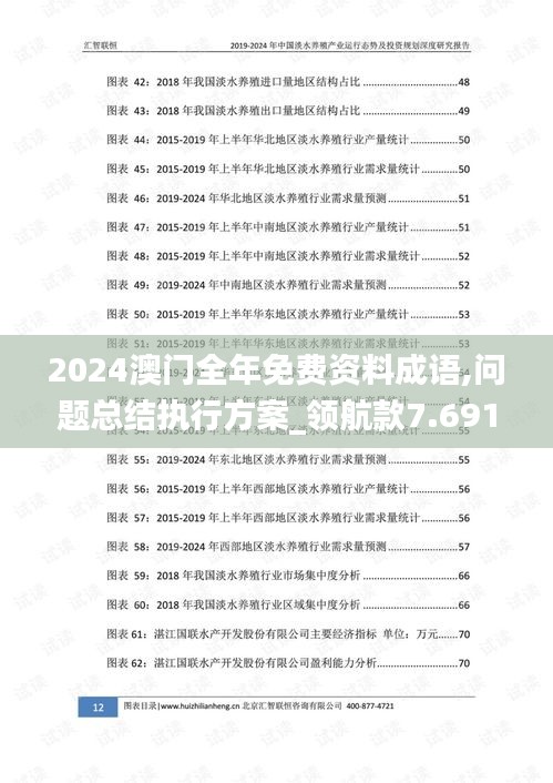 2024澳门全年免费资料成语,问题总结执行方案_领航款7.691