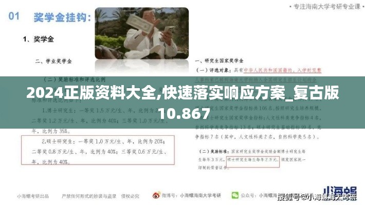 2024正版资料大全,快速落实响应方案_复古版10.867