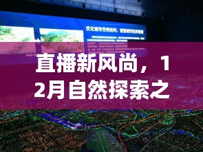 2024年12月7日 第15页