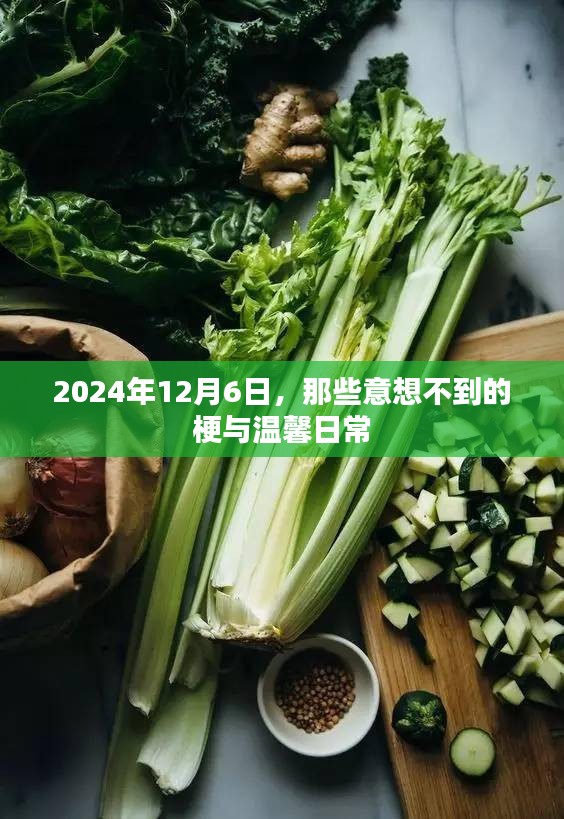 2024年12月6日，梗中藏温情，日常显惊喜