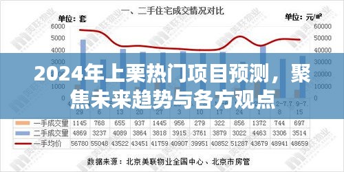 2024上栗热门项目展望，未来趋势与多方观点聚焦