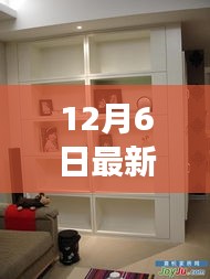 12月6日最新隔断柜设计图展示