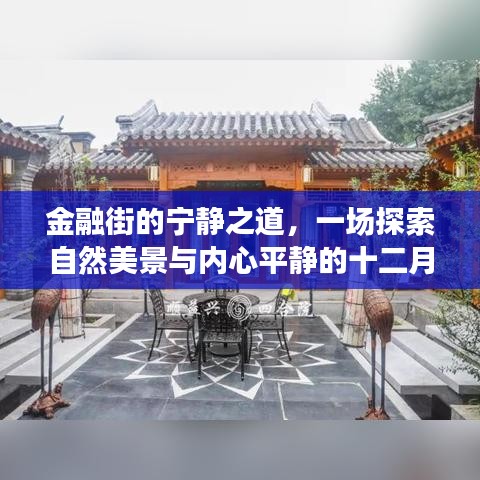 金融街的宁静之旅，十二月探索自然美景与内心平静的旅程