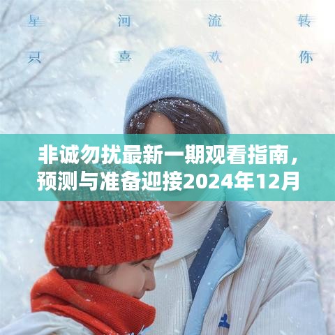 非诚勿扰最新一期观看指南，迎接2024年12月6日精彩节目预测与准备指南