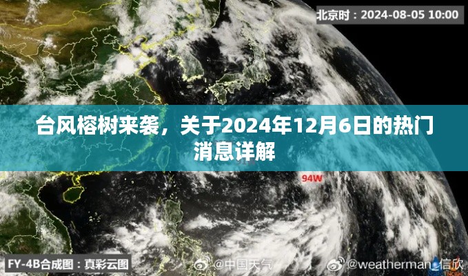 关于台风榕树来袭的热门消息详解，2024年12月6日报告