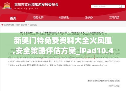 新奥门特免费资料大全火凤凰,安全策略评估方案_iPad10.448