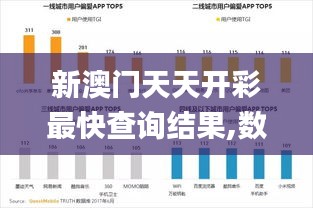 新澳门天天开彩最快查询结果,数据引导计划设计_LE版4.407