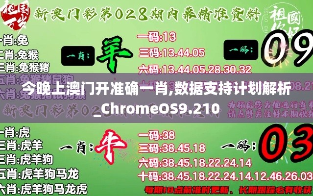 今晚上澳门开准确一肖,数据支持计划解析_ChromeOS9.210