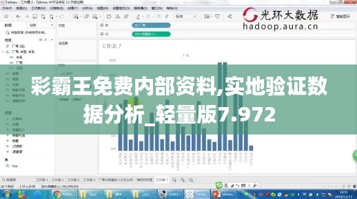 彩霸王免费内部资料,实地验证数据分析_轻量版7.972