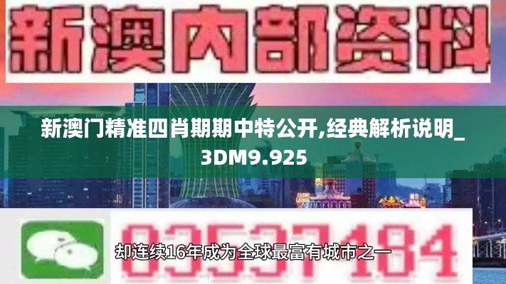 新澳门精准四肖期期中特公开,经典解析说明_3DM9.925