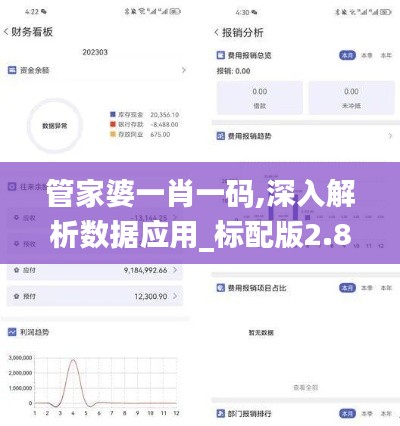 管家婆一肖一码,深入解析数据应用_标配版2.872