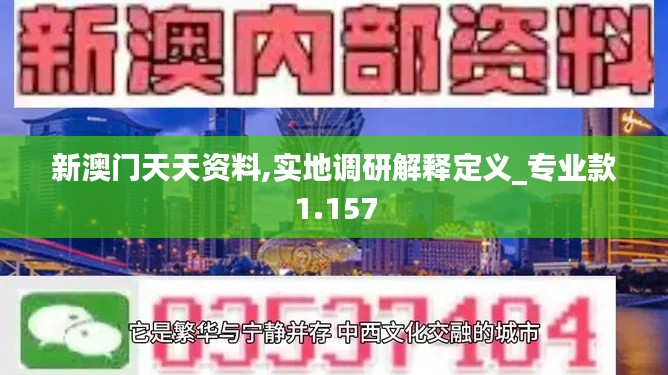 新澳门天天资料,实地调研解释定义_专业款1.157