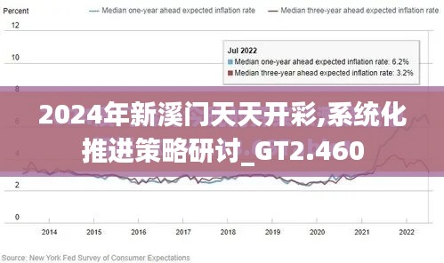 2024年新溪门天天开彩,系统化推进策略研讨_GT2.460