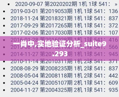 一肖中,实地验证分析_suite9.293