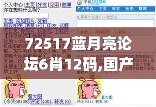 72517蓝月亮论坛6肖12码,国产化作答解释定义_交互版14.940